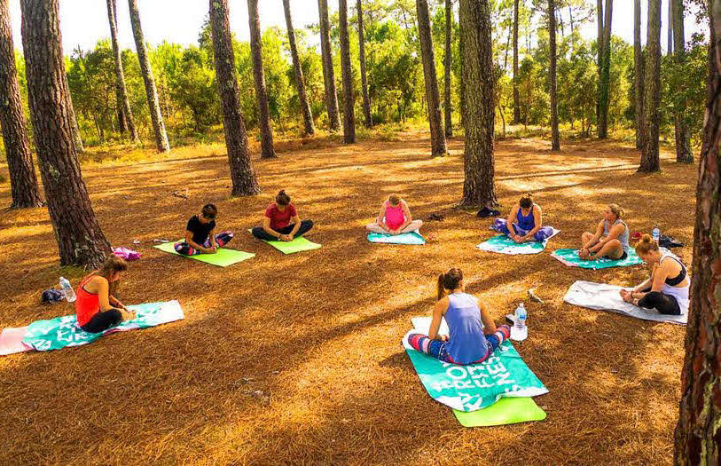 Yoga im Wald