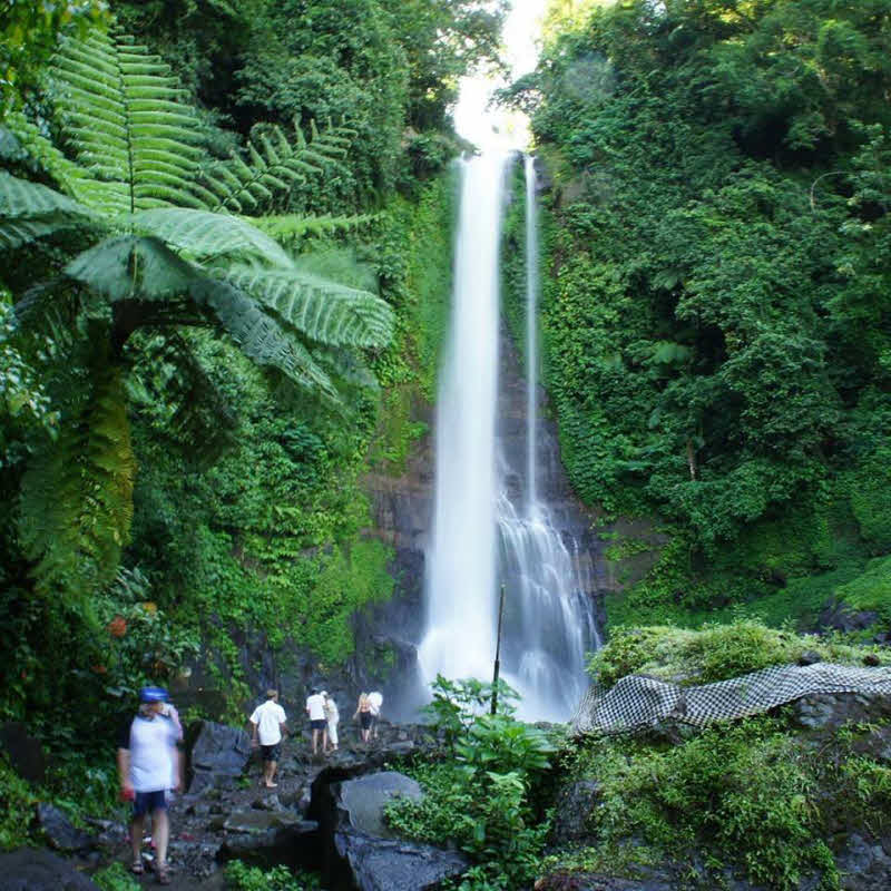 Sightseeing Bali