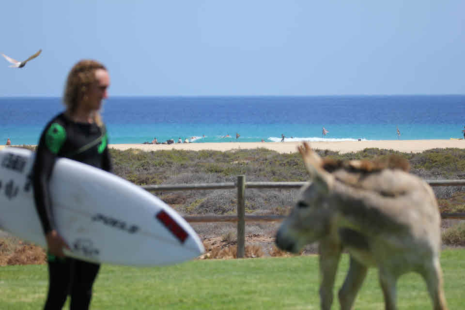 Surfcamp frankreich bungalow