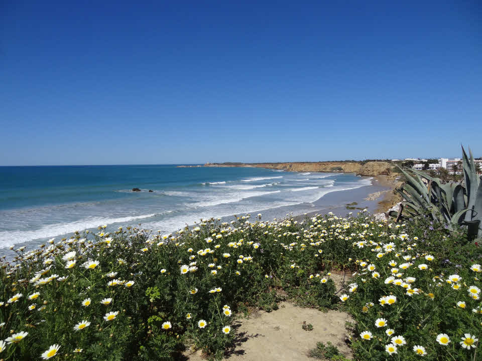 Surfen in Conil de la Frontera