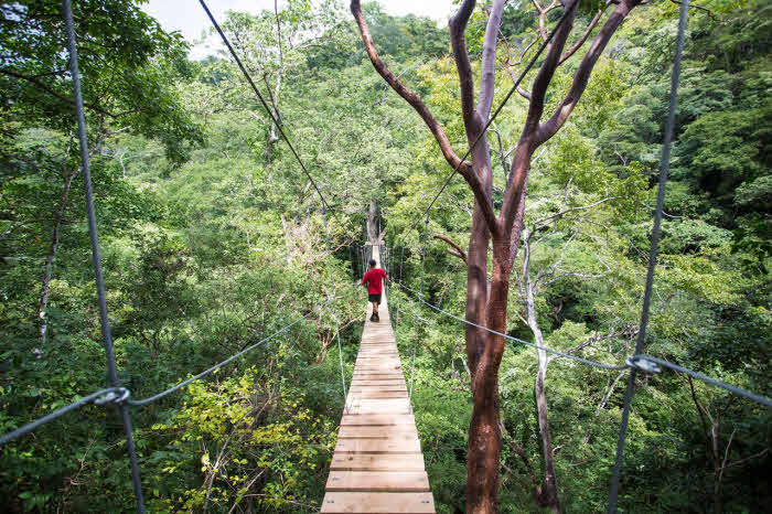 Ziplining Tour im Dschungel