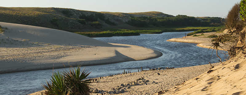 Surfen in Moliets