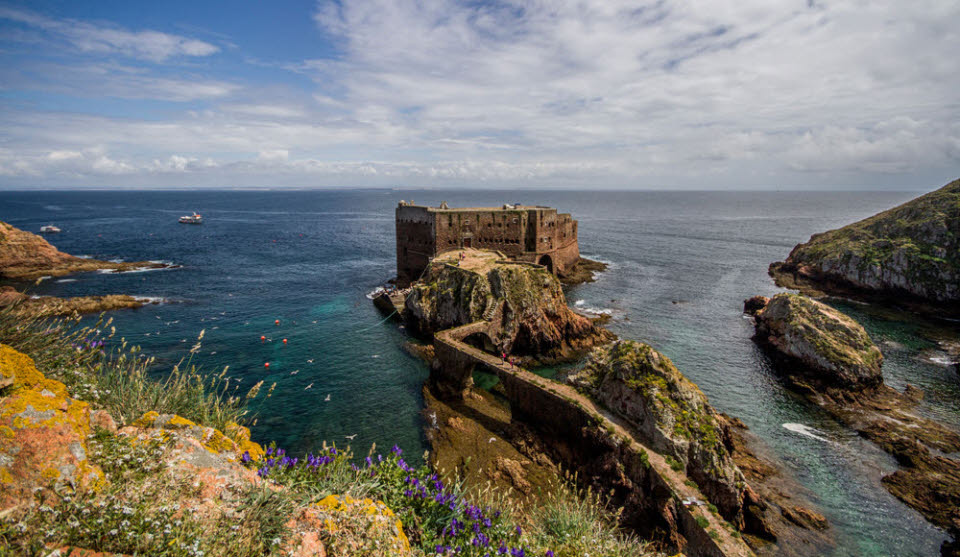 Berlengas Inseln