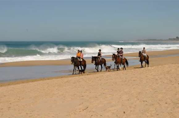 Reiten in El Palmar