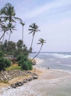 Surfcamp in Sri Lanka