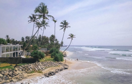 Surfcamp in Sri Lanka