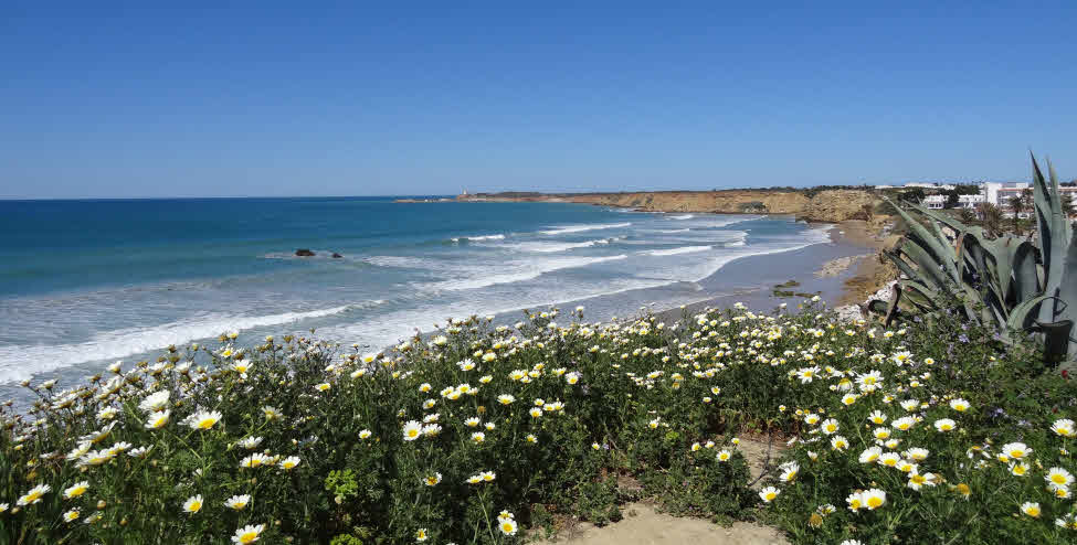 Surfcamps in Südspanien