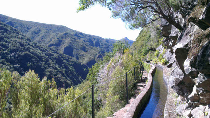 Levadas Madeira