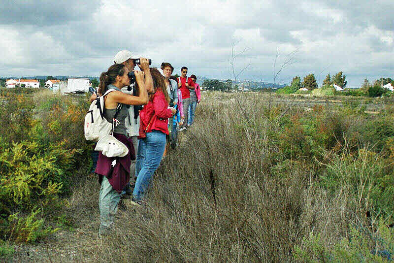 Walking Algarve