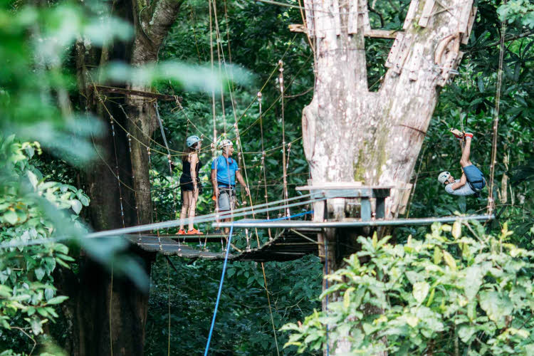 Canopy Tour Mal Pais 