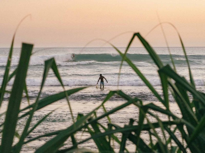 Surfen in Sri Lanka